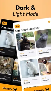 Cat Breed Identifier screenshot 7