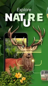 Nature ID - Plant Identifier screenshot 0