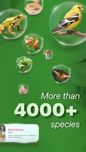 Nature ID - Plant Identifier screenshot 1