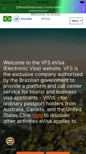 Brazil E-visa screenshot 2