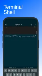 Code - Editor Git and Terminal screenshot 2