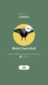 Butterfly Surprise screenshot 2