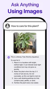 ChatAsk - AI Assistant screenshot 1