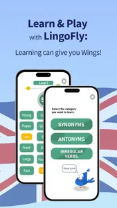 LingoFly: English Verbs Learn screenshot 0