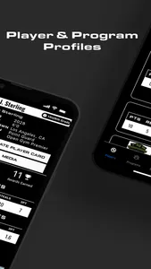 The Passport screenshot 1