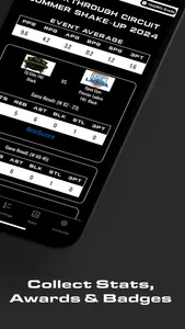 The Passport screenshot 2