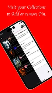 Pin Video screenshot 5