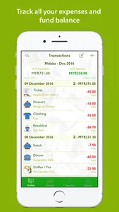 iTreasurer screenshot 1