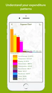 iTreasurer screenshot 2