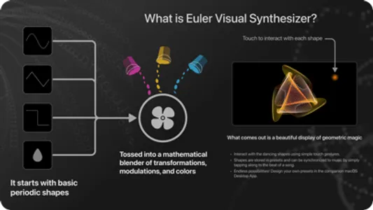 Euler VS screenshot 1