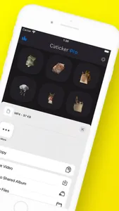 Cat Meme Stickers: Caticker screenshot 1