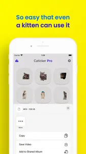 Cat Meme Stickers: Caticker screenshot 2