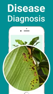Plant Identifier - Diagnosis screenshot 2