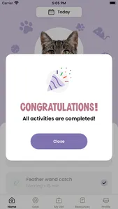 Fat Cat Society® screenshot 3