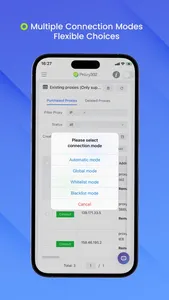 Proxy302 screenshot 4