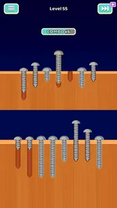 Screw Sorting Quest screenshot 3