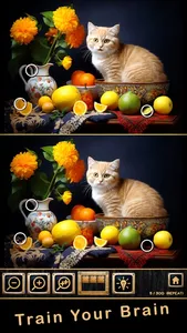 Find Differences AI Challenge screenshot 4