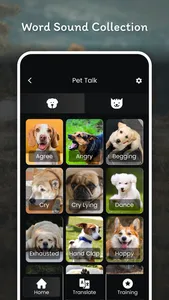 Pet Talk Voice Translator screenshot 0