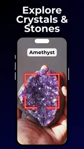 Lens: Image Search & Identify screenshot 5