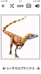 恐竜クイズ Dino Flash Card screenshot 3