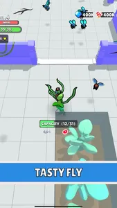 Fly Trapper! screenshot 3