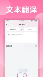 沉浸式翻译 screenshot 2