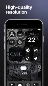 Reskin: Themes, Widgets, Icons screenshot 1