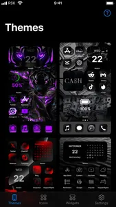 Reskin: Themes, Widgets, Icons screenshot 4