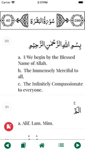 Allah Speaks in Quran screenshot 4