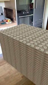 Hololink Player screenshot 0