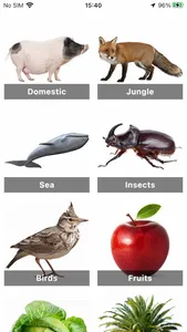 Flashcard English for beginner screenshot 0