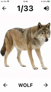 Flashcard English for beginner screenshot 1