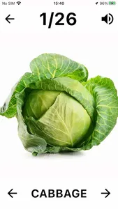 Flashcard English for beginner screenshot 2