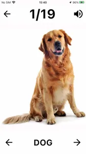 Flashcard English for beginner screenshot 4