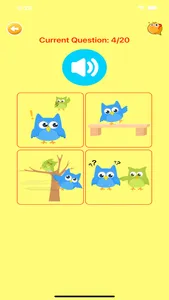 Learn Polish Voca Pro screenshot 4