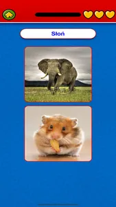 Game to learn Polish Voca screenshot 1