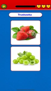 Game to learn Polish Voca screenshot 2