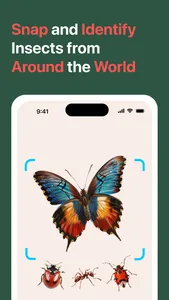 AI Insect Identifier: BugBug screenshot 0