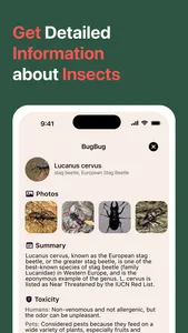 AI Insect Identifier: BugBug screenshot 2