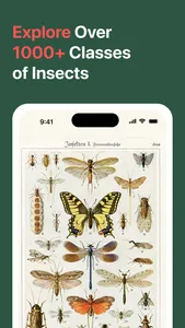 AI Insect Identifier: BugBug screenshot 3