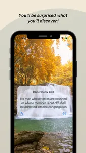 DailyDvar screenshot 3