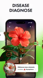 Plant Identifier: by Picture screenshot 1