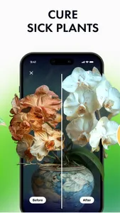 Plant Identifier: by Picture screenshot 2