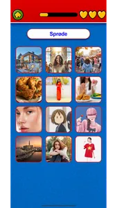 Game to learn Danish Flashcard screenshot 8