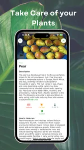 Flower Identifier - Petals screenshot 2