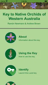 Western Australian Orchid Key screenshot 1