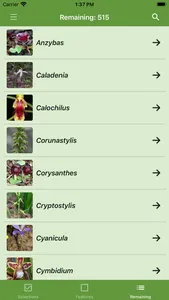 Western Australian Orchid Key screenshot 4