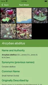 Western Australian Orchid Key screenshot 5