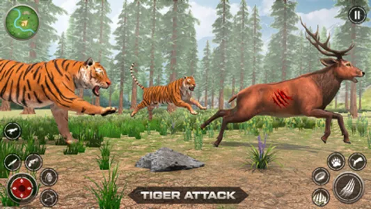 The Tiger Family Simulator 3D screenshot 2