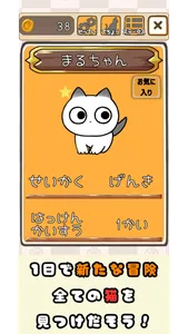 Find it kitty cat screenshot 2